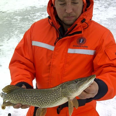 A Frenchman's Bay pike.