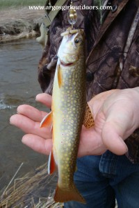 trout opener