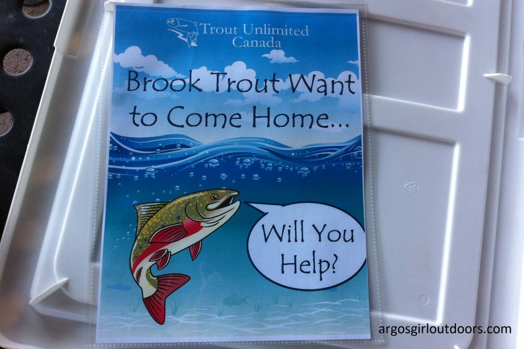 This new project is called "Brook Trout Want To Come Home".