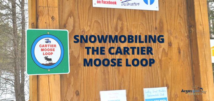 cartier moose loop