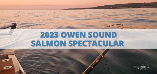 owen sound salmon spectacular