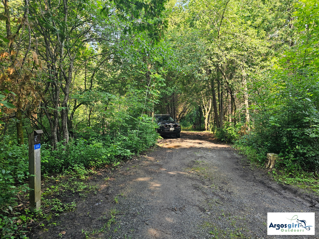 voyageur provincial park campsite