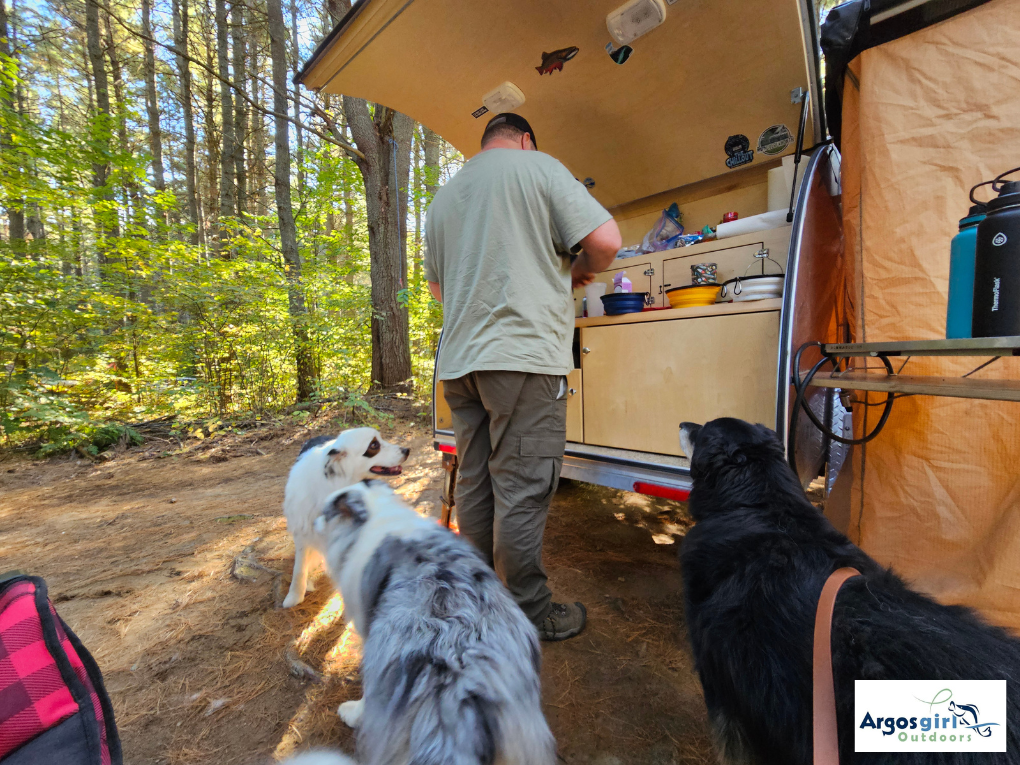 man preparing dinner for three dogs