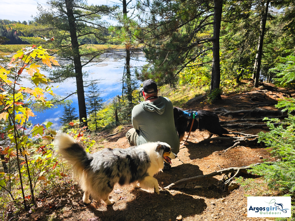 man taking photo with two dogs beside him