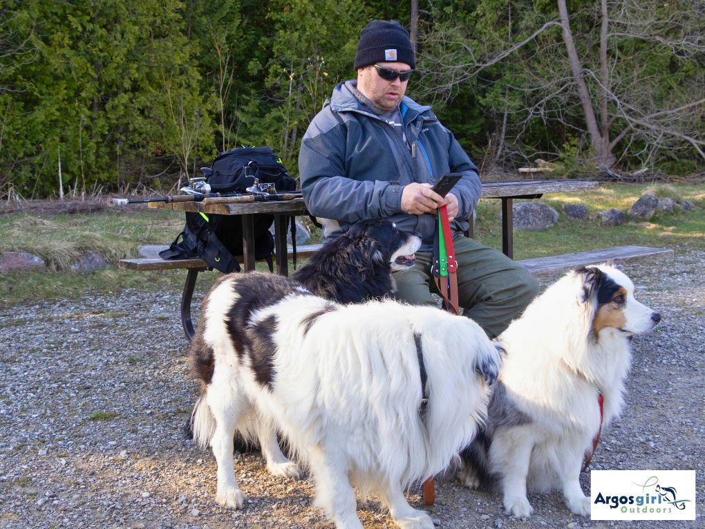 man sitting at picnic table with three dogs